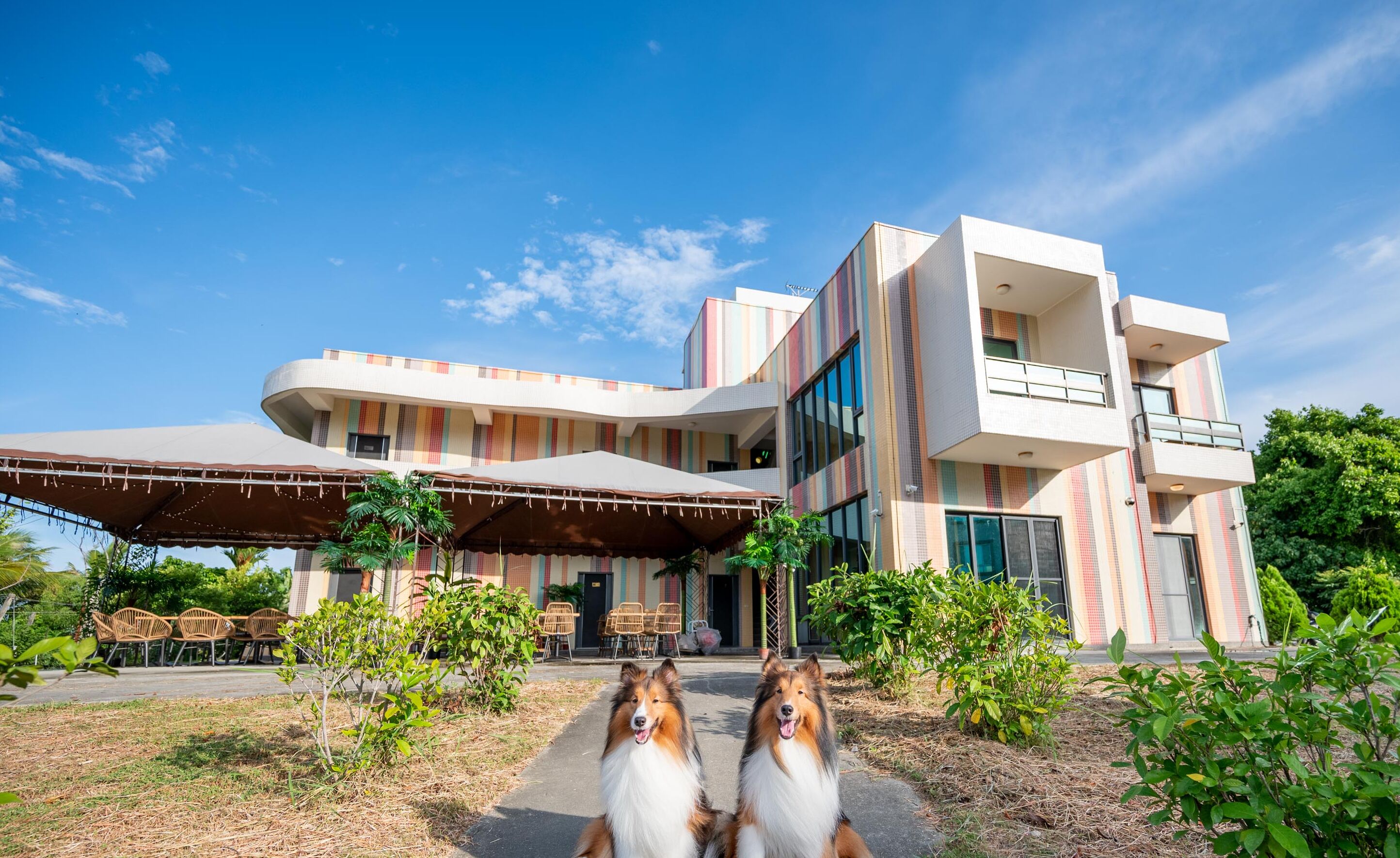 واجهة المنشأة