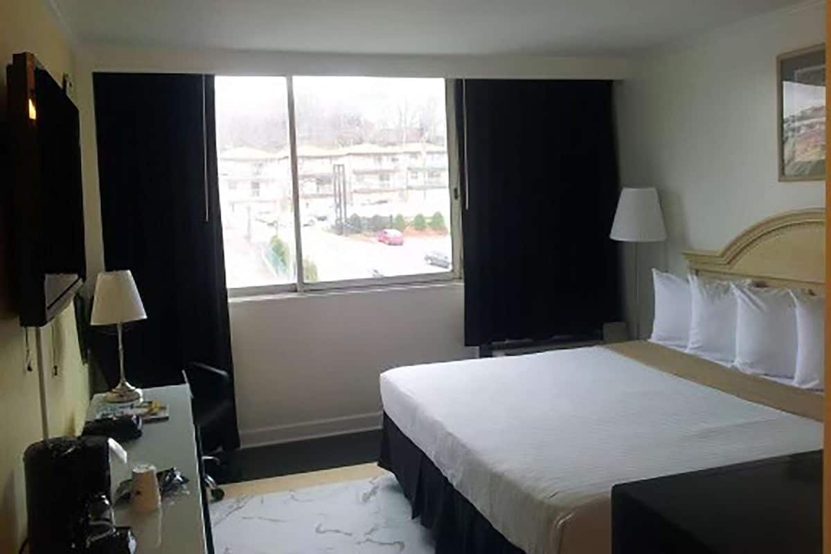 Room, 1 King Bed, Non Smoking | Free WiFi
