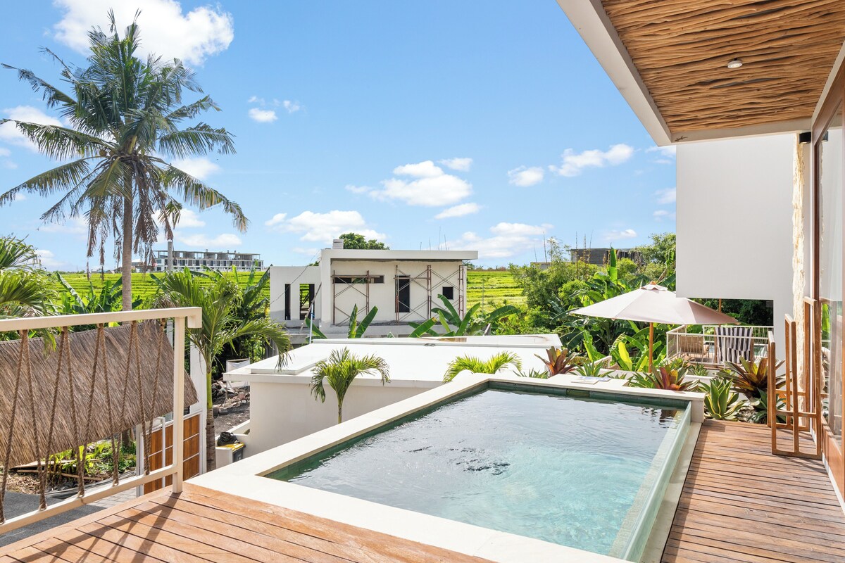 A modern pool area with a wooden deck, surrounded by tropical plants and a palm tree.