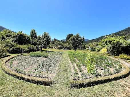 Terraza o patio. Mapuche Trekan
