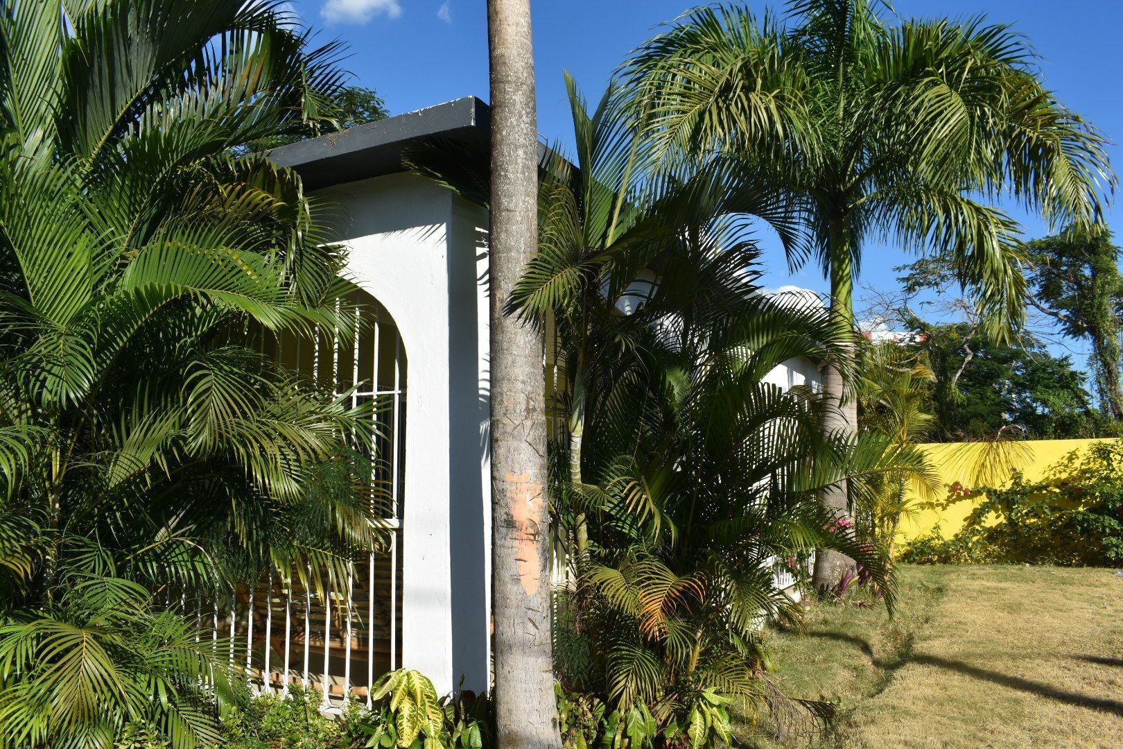 Economy House | Exterior