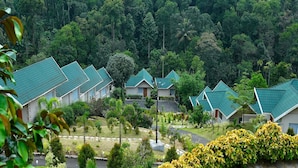 A row of modern, single-story buildings with green roofs, surrounded by lush greenery and a well-maintained garden. - Aveda Munnar Mountains and Mist (Devikolam)