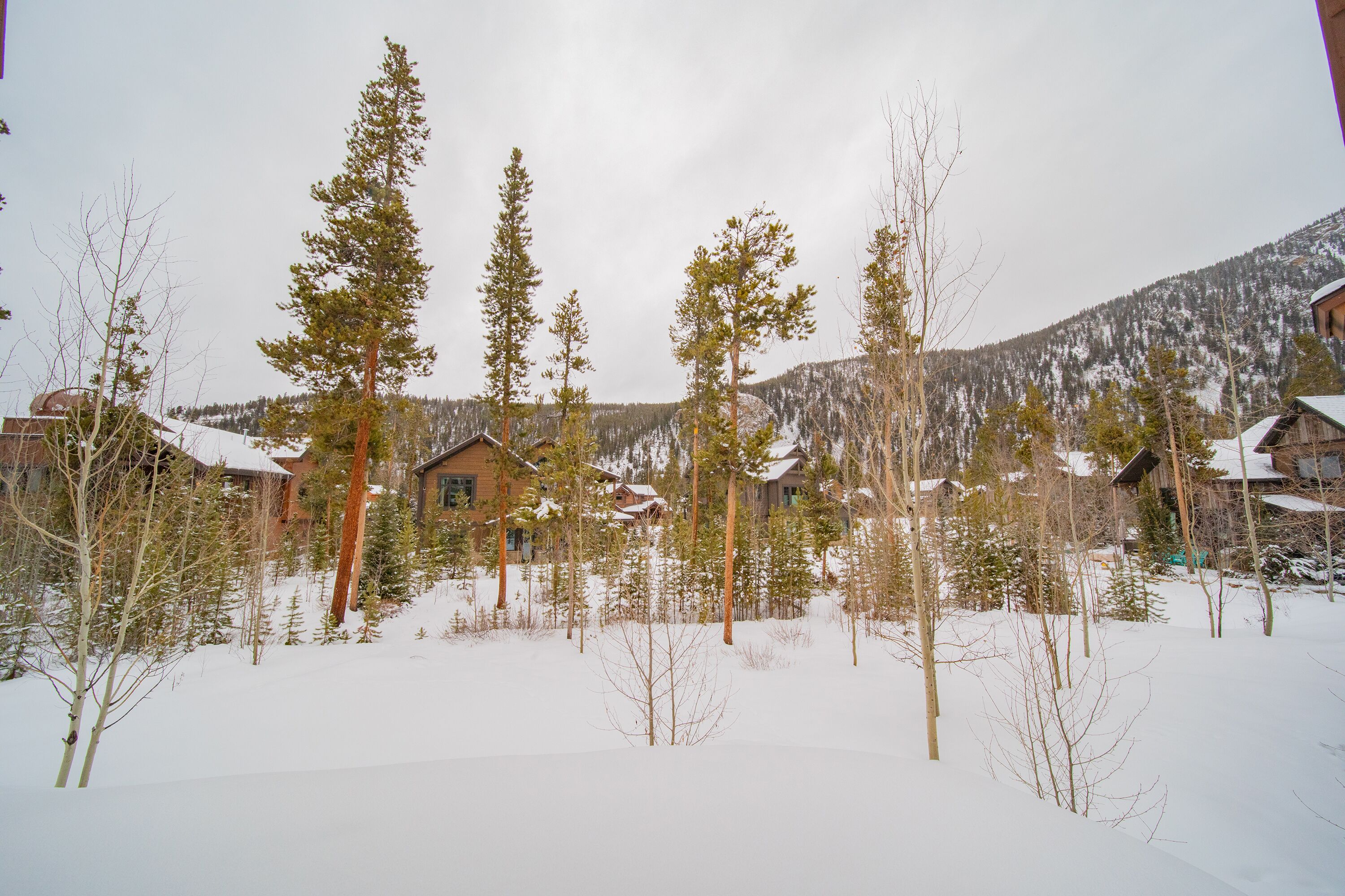 A snow-covered landscape with several wooden cabins surrounded by trees.