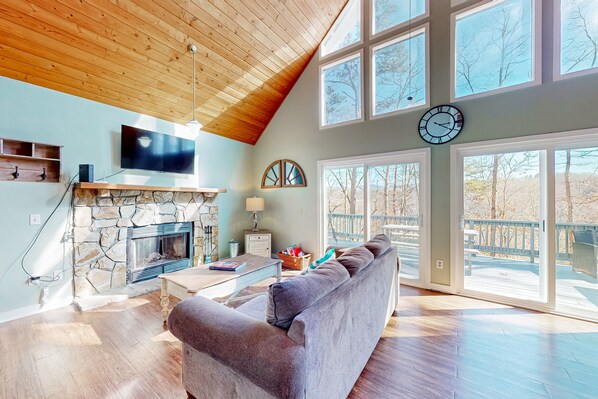 TV, fireplace, books