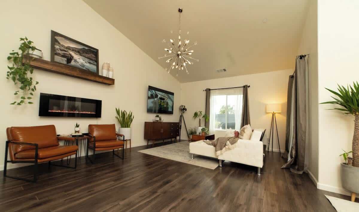 TV, fireplace, video games, books