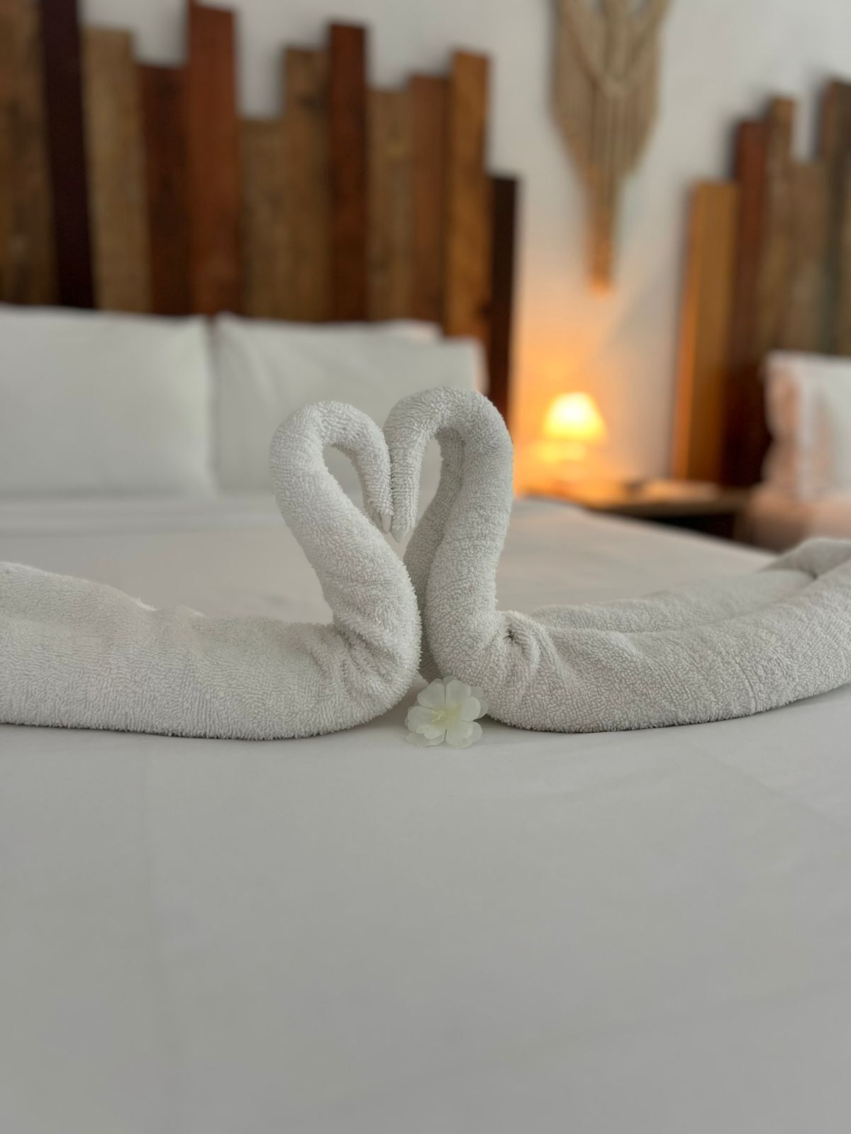 Foto - Boquete Firefly Inn