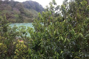 ห้องดับเบิล | วิวภูเขา