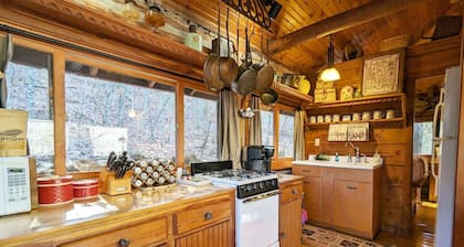 Lake Lucerne Cabin # 8 Wifi+Parking+Deck Coyote's Rest