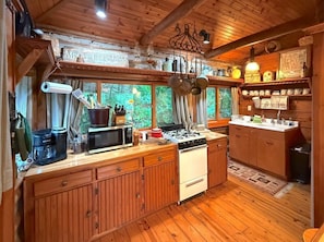 Fridge, microwave, oven, stovetop - Lake Lucerne Cabin # 8 Wifi+Parking+Deck Coyote's Rest (Eureka Springs)
