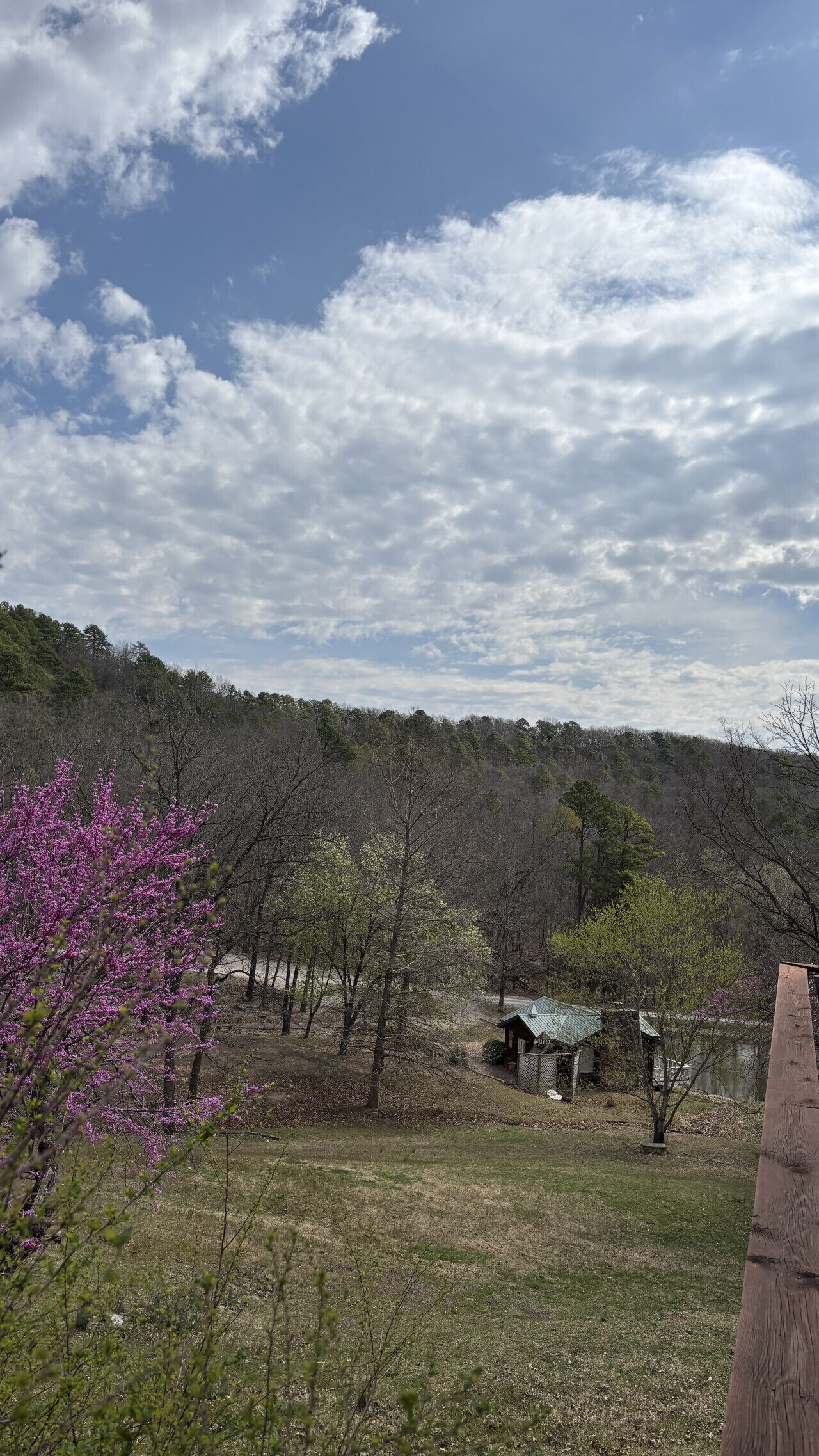 Un paisaje rural con una pequeña cabaña de madera, rodeada de árboles y un campo cubierto de hierba.