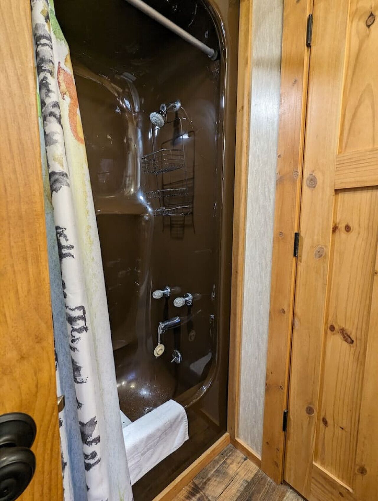 A wooden door leading to a glass-enclosed shower area with a white towel and a metal rack.