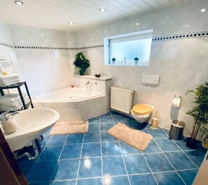 Een douche, een haardroger, handdoeken, zeep