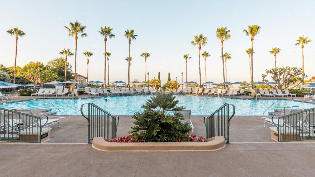 A pool area with lounge chairs and palm trees.