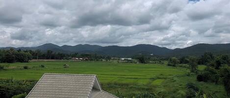 A rural landscape with green fields, a house with a tiled roof, and mountains in the background.