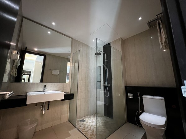 A modern bathroom with a glass-enclosed shower, a toilet, and a sink with a mirror above it.