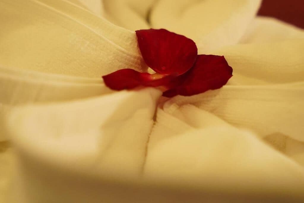 Foto - NT Elysian hotel