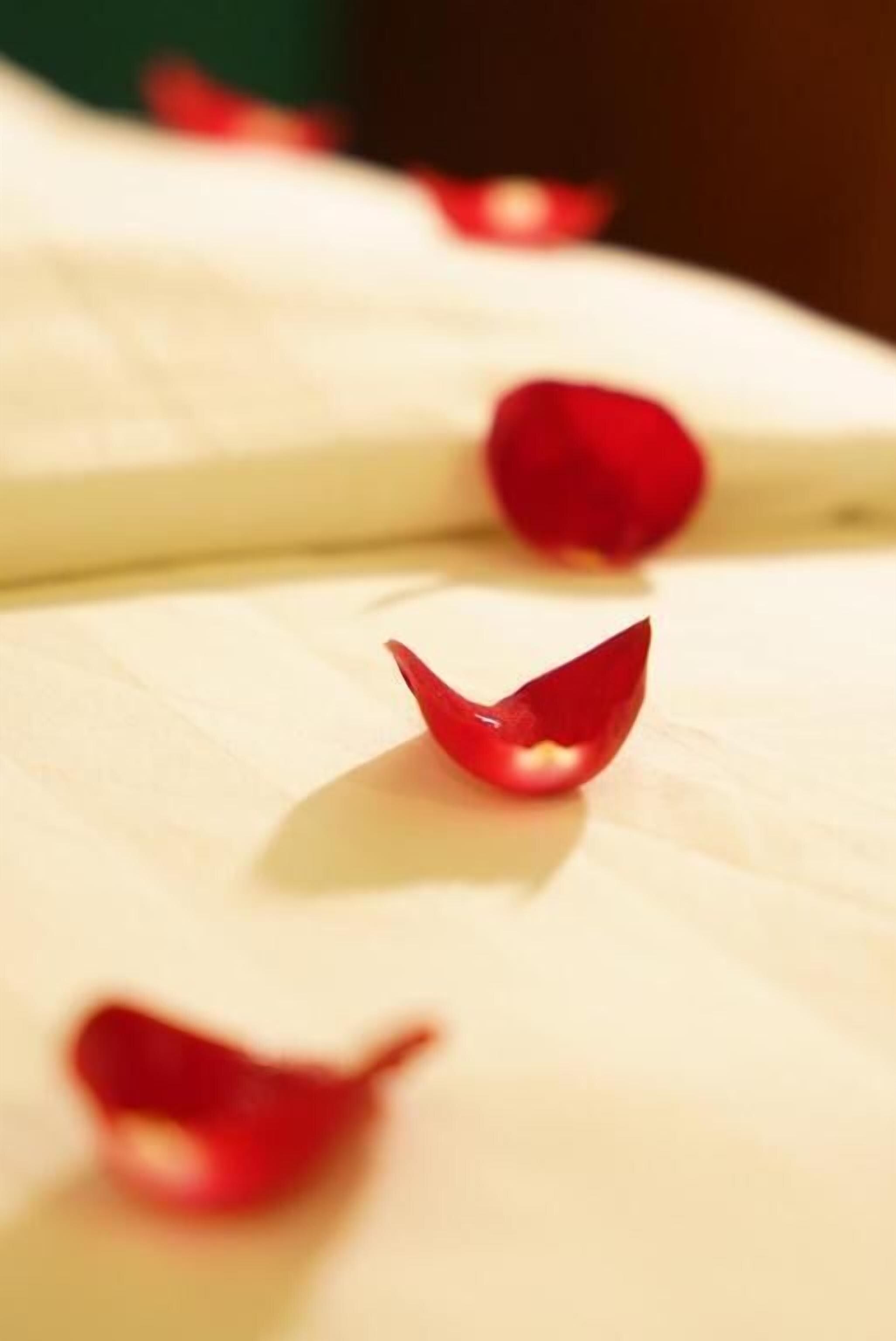 Foto - NT Elysian hotel