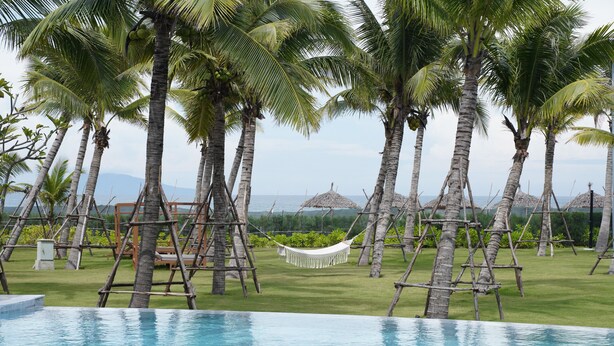Zona de piscina con palmeras, una hamaca y vistas al océano.