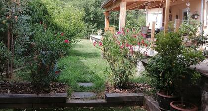 Studio Proximité Les Vans et Chassezac