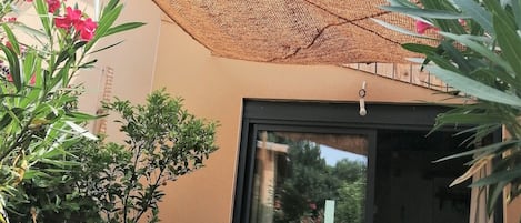 外观细节