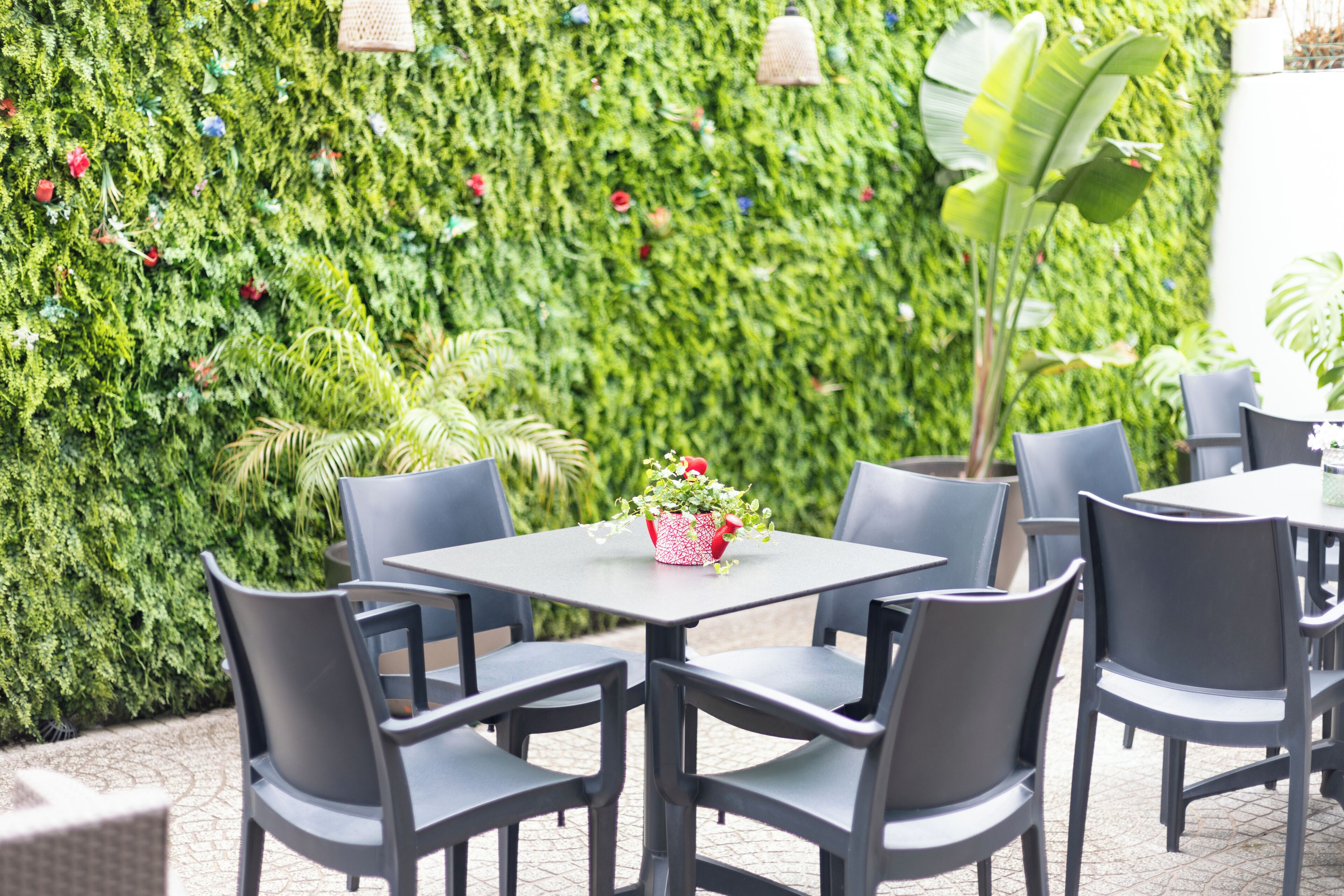 Foto - Avenue 41 Guest House