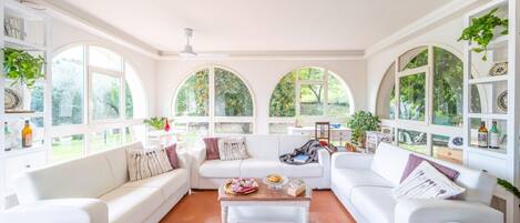 Televisio, takka, kirjoja