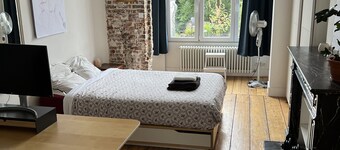 Nice arty Apartment, in a old fashion house of Ixelles in Center Brussels