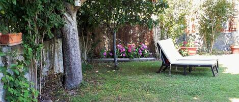 Un jardin avec un banc en bois et un arbre qui offre de l’ombre.