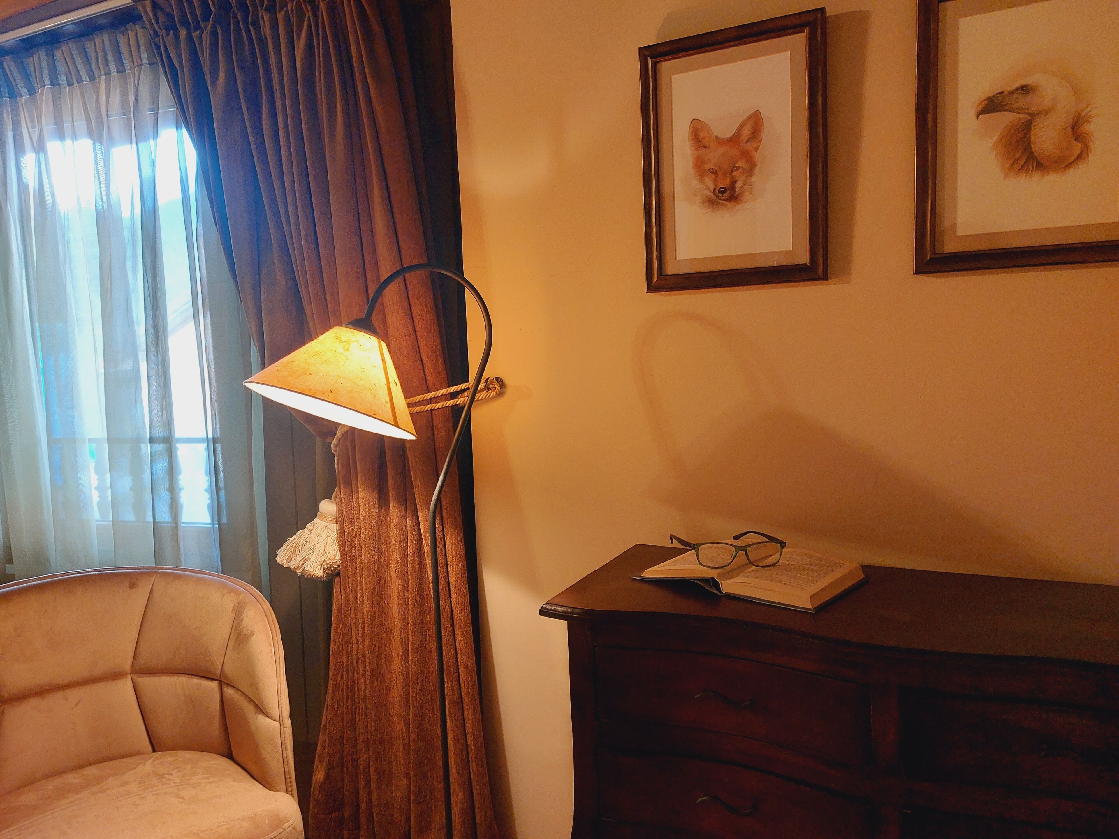 A room with a sofa, a lamp, a dresser, and two framed pictures on the wall.