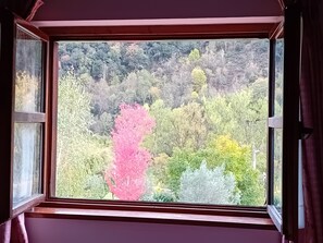 Standard Room | Egyptian cotton sheets, premium bedding, individually decorated - Picos de Europa Suites and Rooms (Camaleno)