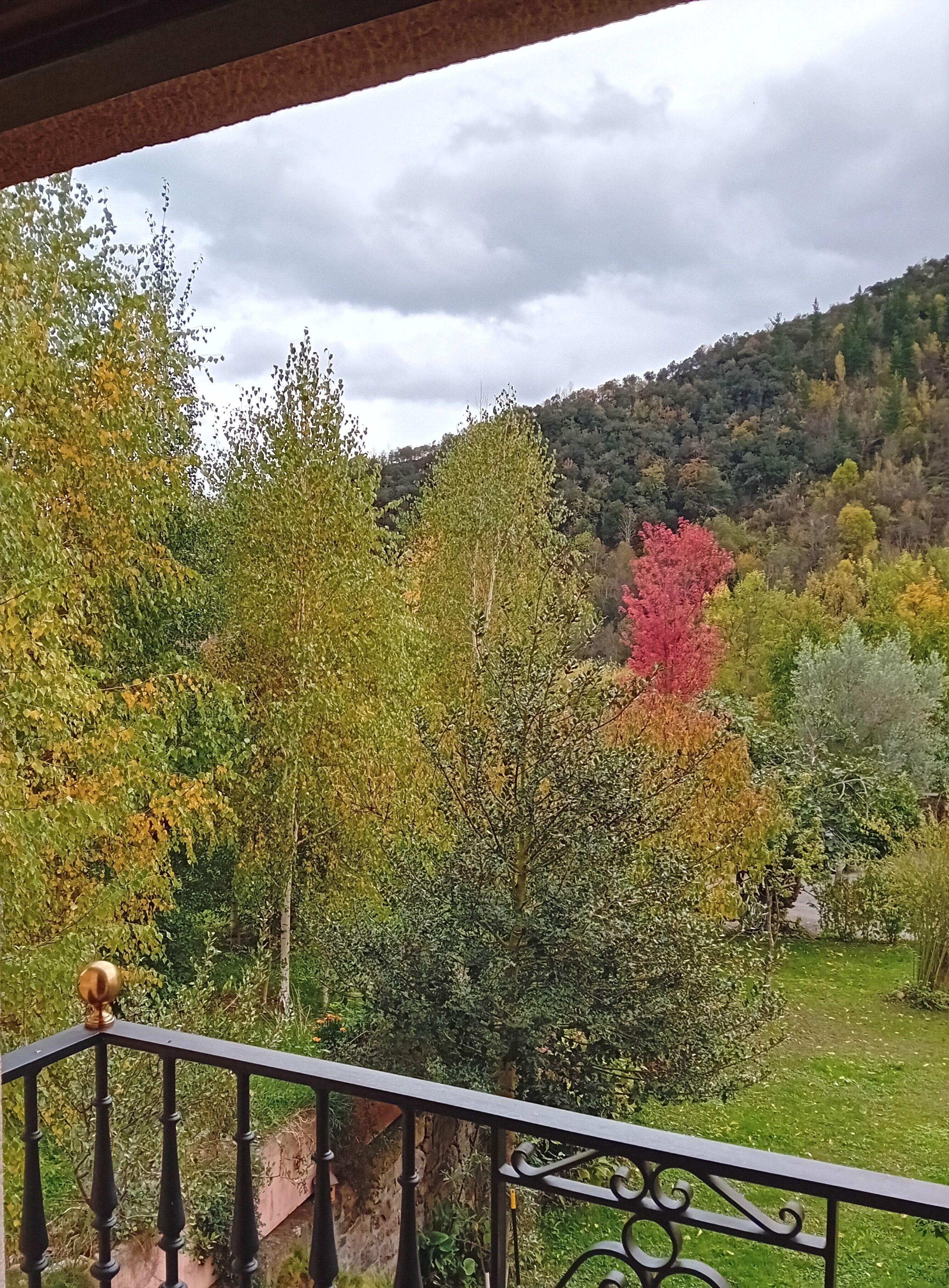 A balcony with a view of a forested hillside.