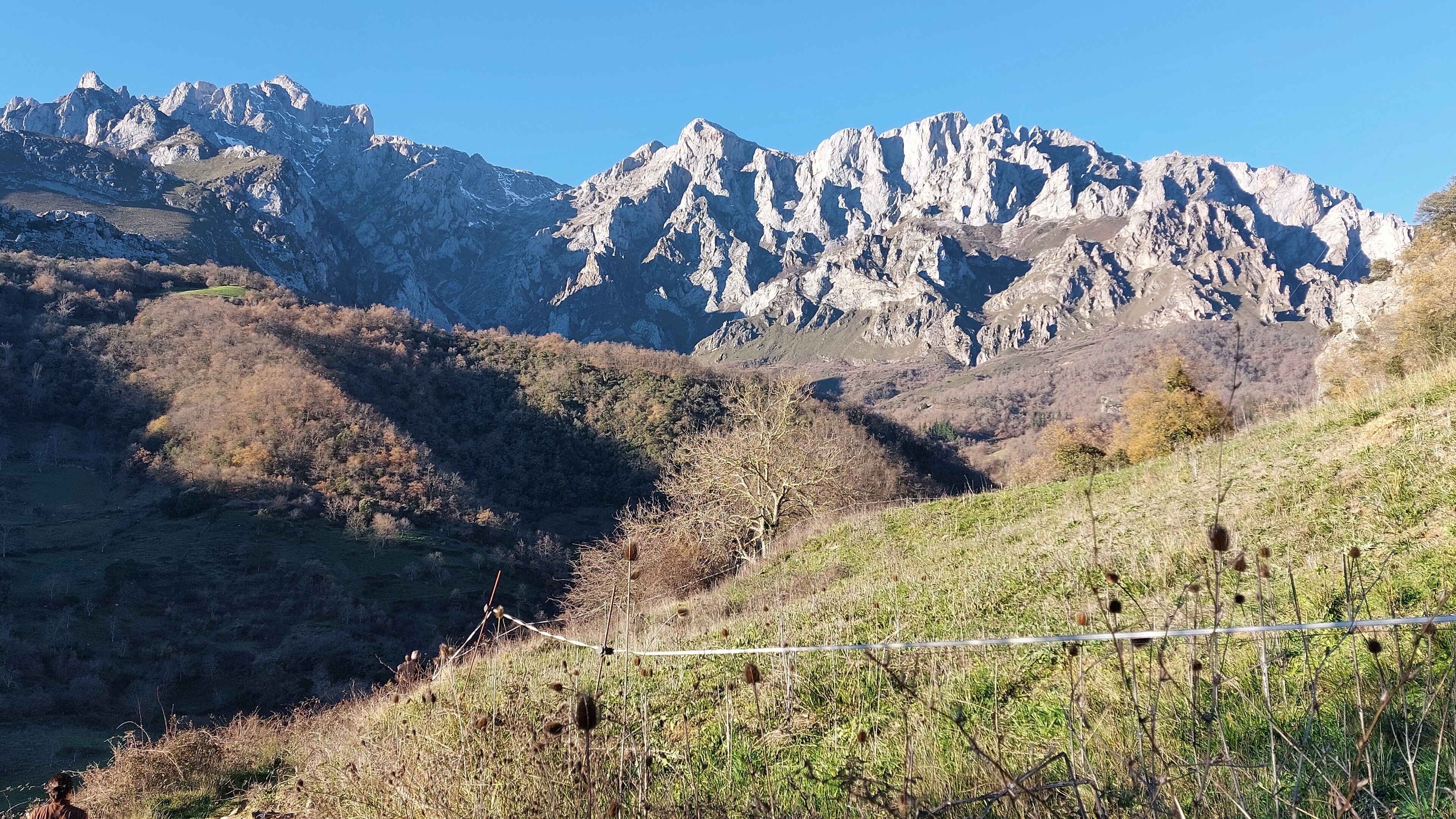 Un paisaje montañoso con picos rocosos y vegetación escasa.