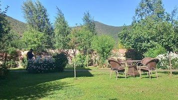 Un jardín con una mesa y sillas, rodeado de árboles y una montaña al fondo.