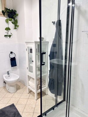 Shower, hair dryer, bidet, towels