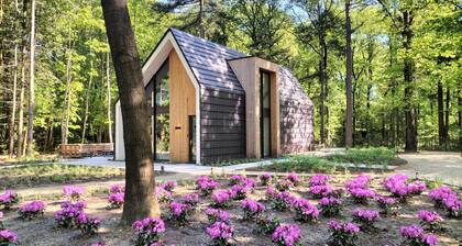 Lovely home in Bennekom with sauna