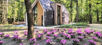 Lovely home in Bennekom with sauna