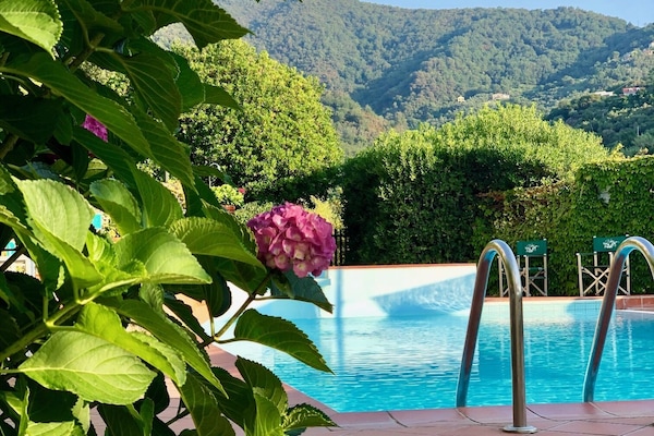Seasonal outdoor pool, open 8:00 AM to 8:00 PM, sun loungers