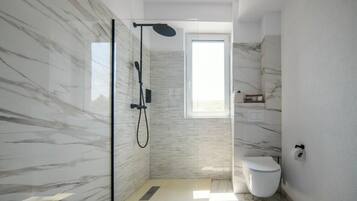 Shower, hair dryer, towels, shampoo