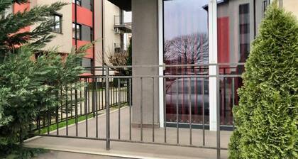 Joy City Stay Martirilor Giroc 4