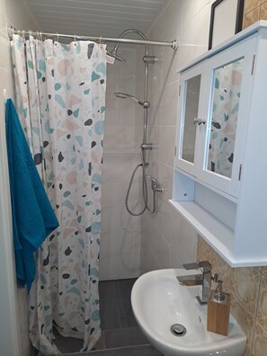 Bathroom features a shower area with a glass door and handheld showerhead, a sink with a soap holder, and a mirror above.