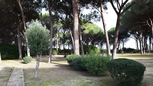 A pathway leading through a park with trees and bushes. - Beachfront vacation home in elegant residential complex near Chia (Pula)