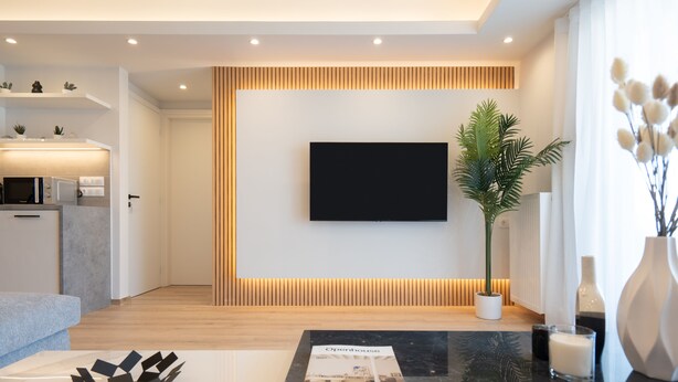 Un salon moderne avec un téléviseur à écran plat fixé au mur, une table basse avec un magazine, une plante en pot et un style de décoration minimaliste.