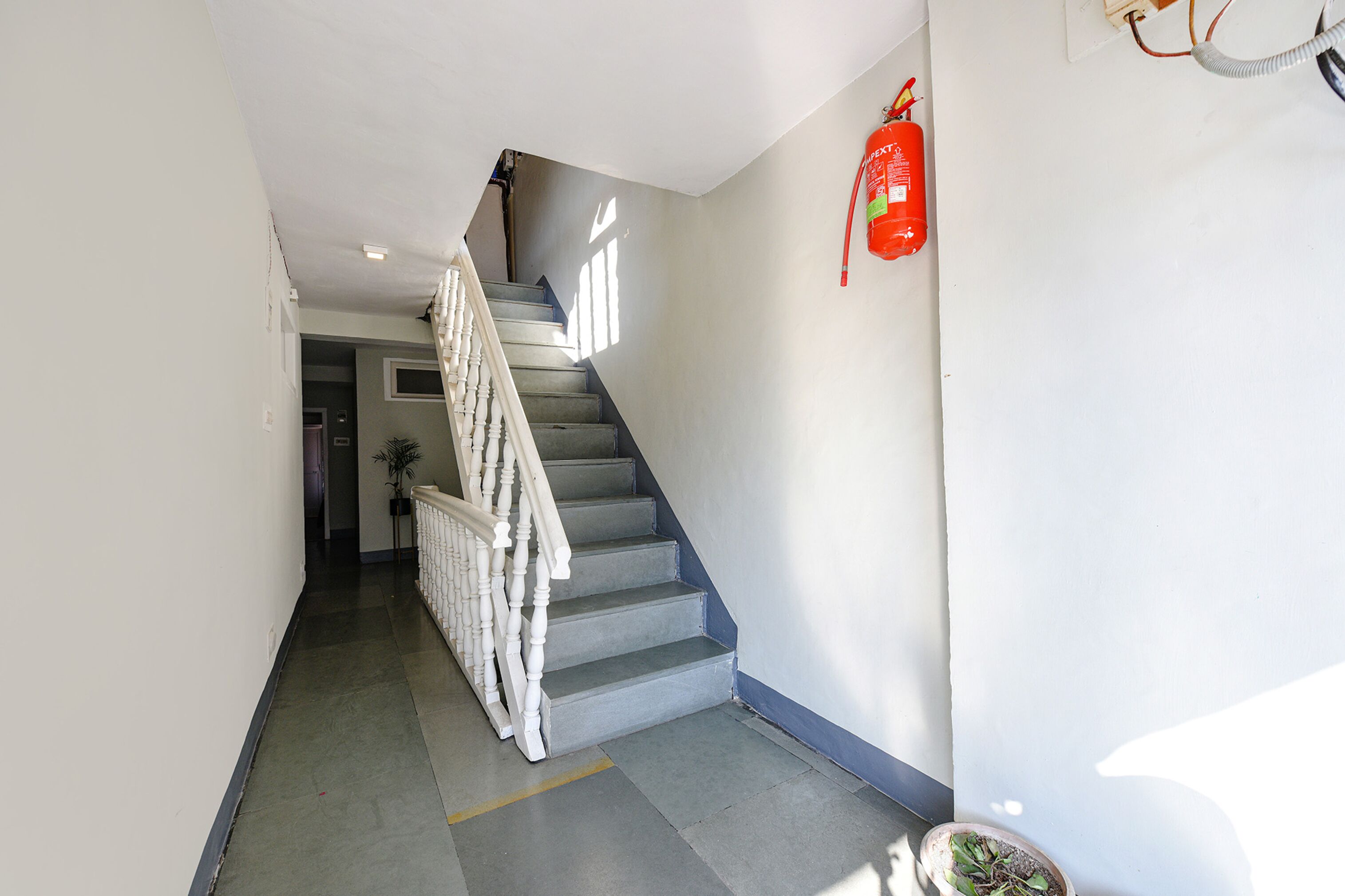 A staircase with white balusters, a fire extinguisher on the wall, and a potted plant at the bottom.
