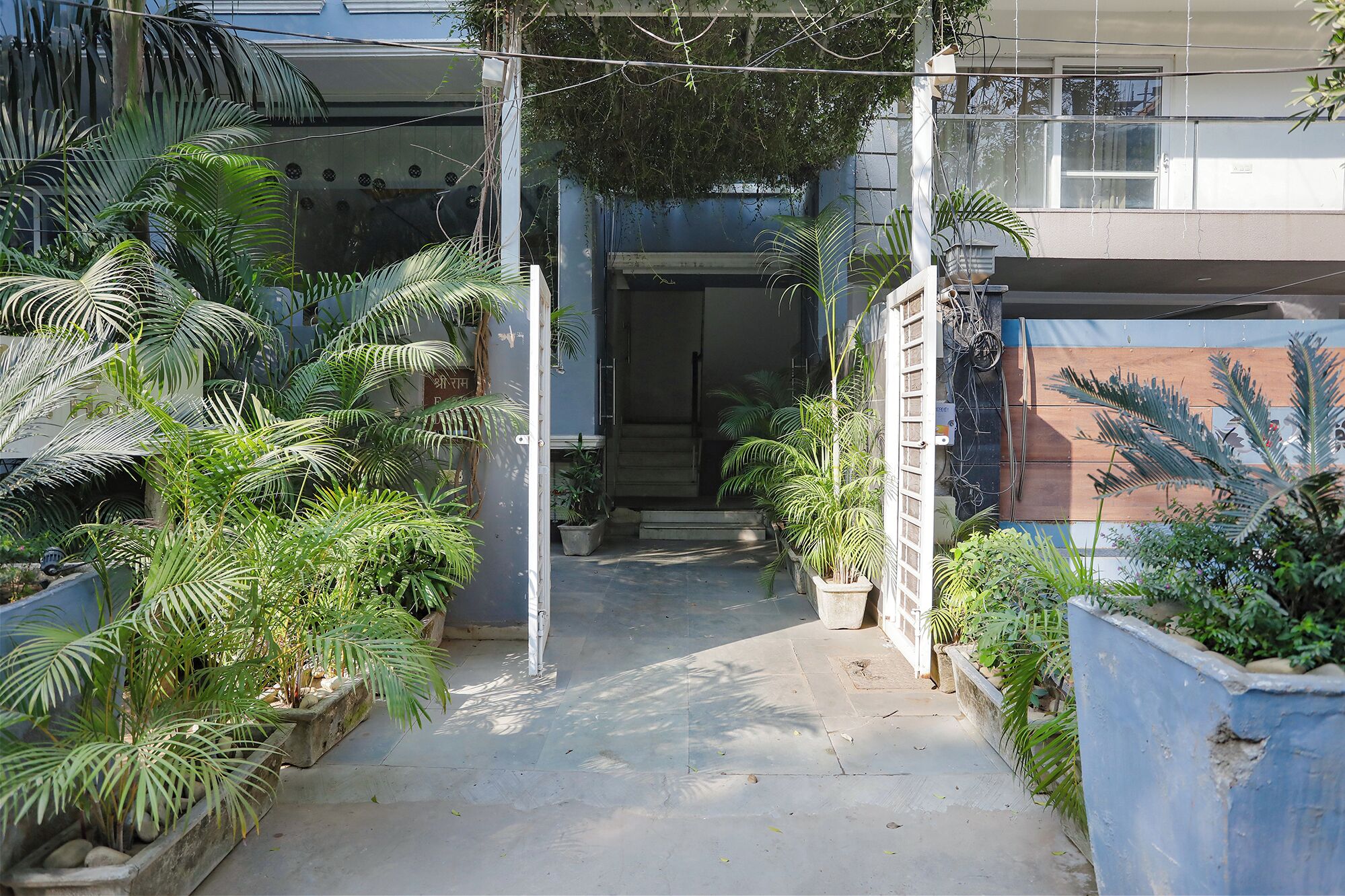 Un étroit sentier menant à l’entrée d’un bâtiment, bordé de plantes en pot et surmonté d’une grille métallique.