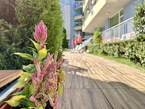 Relax in a serene outdoor space with a pathway leading to a seating area under red umbrellas, surrounded by lush potted plants and beautifully manicured hedges.