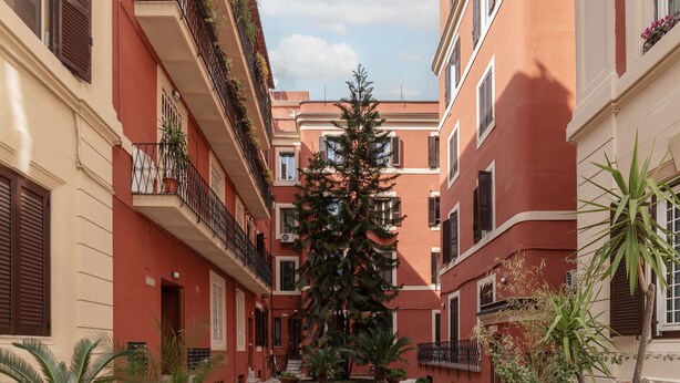 Un patio estrecho con un árbol central, rodeado de edificios con balcones y plantas en macetas.
