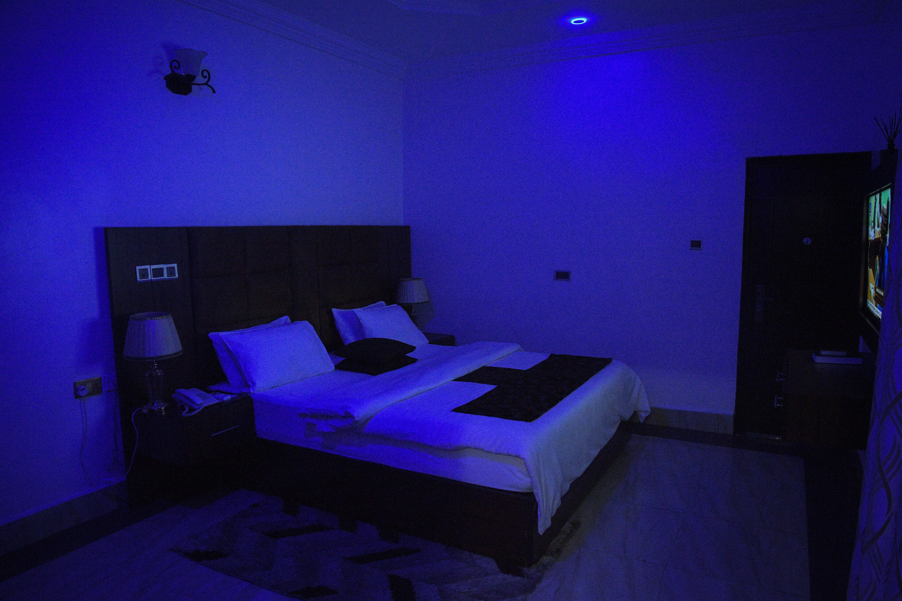 Business Apartment | Individually decorated, individually furnished, free WiFi