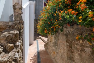 Family Apartment | Terrace/patio