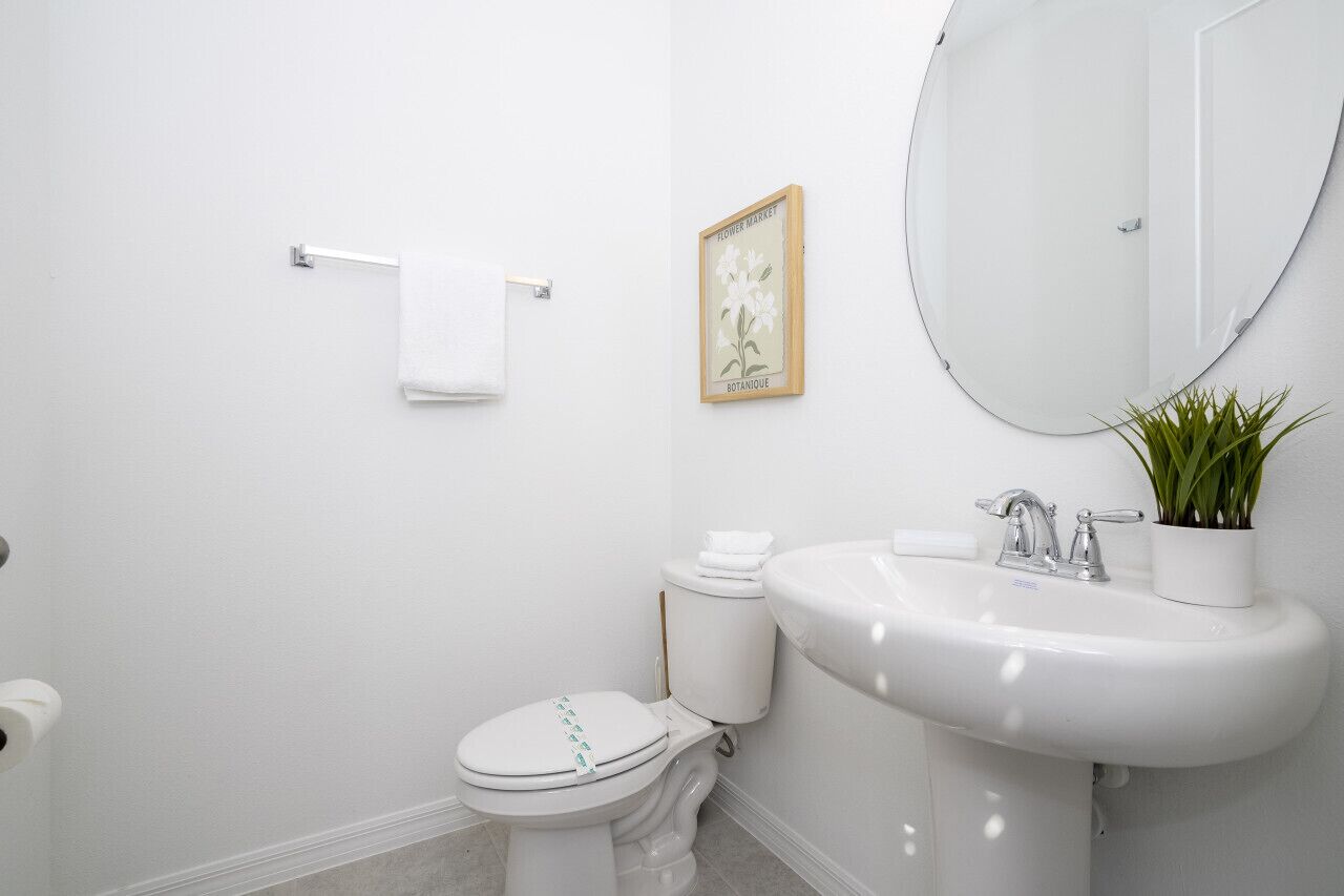 A white bathroom with a toilet, sink, and a framed botanical print on the wall.