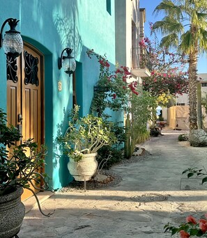 Detalle del exterior